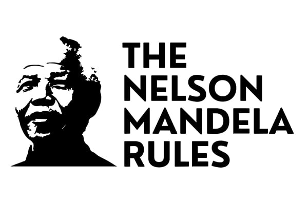 referente mes nelson mandela